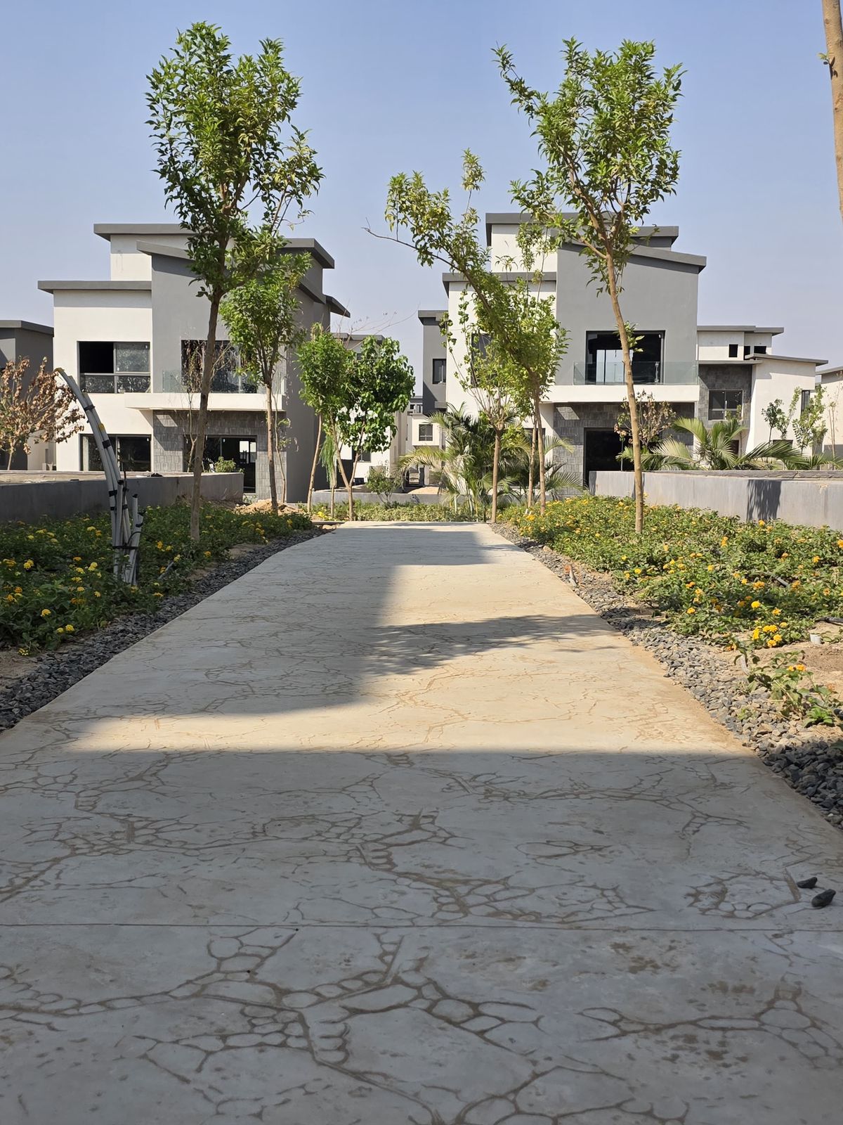 Park Sight 5